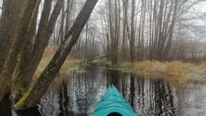 Zimowy spływ kajakowy